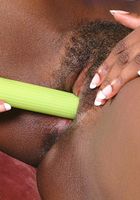 Shanessa in toys, Shanessa (sha026) ATK Exotics: Shanessa (Shanessa in toys)