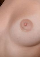 Shannon Wolf shows off her gorgeous body., Shannon Wolf (sha109) ATK Premium: Shannon Wolf (Shannon Wolf shows off her gorgeous body.)
