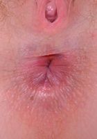 Marie stretches open her horny hairy holes., Marie McCray (she044) ATK Natural & Hairy: Marie McCray (Marie stretches open her horny hairy holes.)