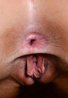 Shyla does some incredible shaved pussy spreads., Shyla Ryder (shy007) ATK Galleria: Shyla Ryder (Shyla does some incredible shaved pussy spreads.)