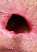Sia Wood Hot Gaping Asshole, Sia Wood (sia004) ATK Petites: Sia Wood (Sia Wood Hot Gaping Asshole)