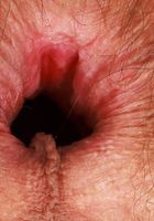 Sia Wood Outdoor Gaping, Sia Wood (sia004) ATK Natural & Hairy: Sia Wood (Sia Wood Outdoor Gaping)