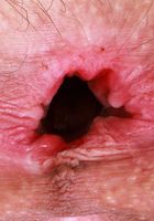 Sia Wood Stripping and Gaping, Sia Wood (sia004) ATK Natural & Hairy: Sia Wood (Sia Wood Stripping and Gaping)