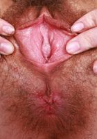 Sia Wood Skirt Stripping, Sia Wood (sia004) ATK Natural & Hairy: Sia Wood (Sia Wood Skirt Stripping)