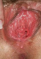 Siren spreads her pussy, Siren (sir002) ATK Archives: Siren (Siren spreads her pussy)