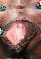 Sizi Sev in black women, Sizi Sev (siz001) ATK Exotics: Sizi Sev (Sizi Sev in black women)