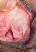 Hairy MILF Sofie spreads her pussy, Sofie Taylor (sof023) ATK Exotics: Sofie Taylor (Hairy MILF Sofie spreads her pussy)