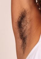 Sonya in exotic and hairy, Sonya (son024) ATK Petites: Sonya (Sonya in exotic and hairy)