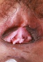 Sona shows her dark nipples and labia., Sona Bella (son031) ATK Petites: Sona Bella (Sona shows her dark nipples and labia.)