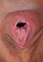 Sophia Leone Flashes You a Bit of Skin, Sophia Leone (sop048) ATK Exotics: Sophia Leone (Sophia Leone Flashes You a Bit of Skin)