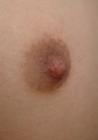 Starlingz Lingerie Strip, Starlingz (sta031) ATK Natural & Hairy: Starlingz (Starlingz Lingerie Strip)