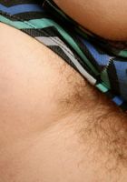 Sunshine giving us the full on fur., Sunshine (sun018) ATK Natural & Hairy: Sunshine (Sunshine giving us the full on fur.)