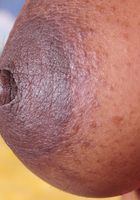 Black model Tahyti spreads her thick ass, Tahyti (tah006) ATK Exotics: Tahyti (Black model Tahyti spreads her thick ass)