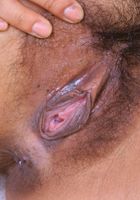 Tari brings a little spice and flavor!, Tari (tar020) ATK Exotics: Tari (Tari brings a little spice and flavor!)