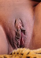 Black model Tatiana spreads her hole, Tatiana (tat030) ATK Exotics: Tatiana (Black model Tatiana spreads her hole)