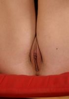 Taylor Dare in lingerie, Taylor Dare (tay032) ATK Petites: Taylor Dare (Taylor Dare in lingerie)