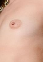 Another great set full of close ups, thanks to Taylor Reed, Taylor Reed (tay043) ATK Exotics: Taylor Reed (Another great set full of close ups, thanks to Taylor Reed)