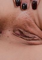 Nice and shaved and well behaved, Taylor Reed, Taylor Reed (tay043) ATK Exotics: Taylor Reed (Nice and shaved and well behaved, Taylor Reed)