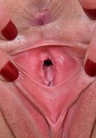 Taylor Madison is a Cutie, Taylor Madison (tay044) ATK Galleria: Taylor Madison (Taylor Madison is a Cutie)