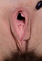 Taylor Pierce in babes, Taylor Pierce (tay047) ATK Galleria: Taylor Pierce (Taylor Pierce in babes)