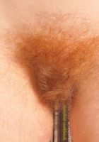 Amateur coed Tracy shows off her petite hairy body, Tracy (tra018) ATK Archives: Tracy (Amateur coed Tracy shows off her petite hairy body)