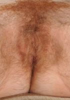 Redhead hirsute babe Tracy shows off all of her sexy fuzzies, Tracy (tra018) ATK Natural & Hairy: Tracy (Redhead hirsute babe Tracy shows off all of her sexy fuzzies)