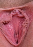 Trillium strips off her lingerie, Trillium (tri049) ATK Natural & Hairy: Trillium (Trillium strips off her lingerie)