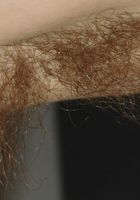 Usnea in hairy lesbians, Usnea (usn001) ATK Natural & Hairy: Usnea (Usnea in hairy lesbians)
