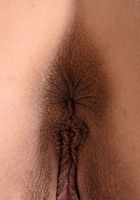 Vanna Bardot in lingerie, Vanna Bardot (van061) ATK Galleria: Vanna Bardot (Vanna Bardot in lingerie)