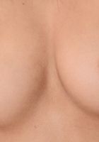 Vanna Bardot in lingerie, Vanna Bardot (van061) ATK Galleria: Vanna Bardot (Vanna Bardot in lingerie)