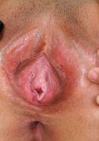 Venus in latinas, Venus (ven005) ATK Exotics: Venus (Venus in latinas)