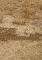 Vendula pees outdoors for you, Vendula (ven012) ATK Exotics: Vendula (Vendula pees outdoors for you)
