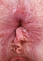 Venus Vixen Spreads Up Close, Venus Vixen (ven021) ATK Galleria: Venus Vixen (Venus Vixen Spreads Up Close)
