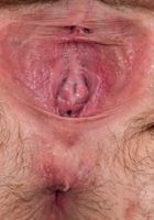 Veronica Valentine in exotic and hairy, Veronica Valentine (ver104) ATK Natural & Hairy: Veronica Valentine (Veronica Valentine in exotic and hairy)