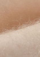 Vestacia JonQuil from ATK Natural & Hairy