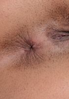 Vienna Black in exotic and hairy, Vienna Black (vie002) ATK Natural & Hairy: Vienna Black (Vienna Black in exotic and hairy)