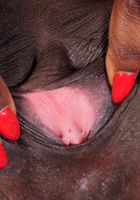 Ebony Leah spreads her legs, Leah (whi004) ATK Exotics: Leah (Ebony Leah spreads her legs)