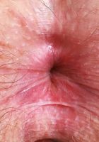 Wookie Princess Spreads Her Fine Ass, Wookie Princess (woo002) ATK Natural & Hairy: Wookie Princess (Wookie Princess Spreads Her Fine Ass)