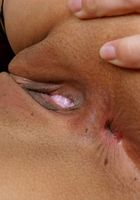 Yanikcia in latinas, Yanikcia (yan005) ATK Exotics: Yanikcia (Yanikcia in latinas)