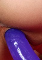 Yanikcia in toys, Yanikcia (yan005) ATK Exotics: Yanikcia (Yanikcia in toys)