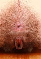 Zoey lifts her arms and spreads her legs to show off her hairy body., Zoey Jpeg (zoe049) ATK Natural & Hairy: Zoey Jpeg (Zoey lifts her arms and spreads her legs to show off her hairy body.)