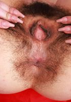 Zoey Jpeg Hairy in Lingerie, Zoey Jpeg (zoe049) ATK Natural & Hairy: Zoey Jpeg (Zoey Jpeg Hairy in Lingerie)