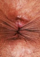Zoey Jpeg Lingerie Hairy Pussy Spreads, Zoey Jpeg (zoe049) ATK Natural & Hairy: Zoey Jpeg (Zoey Jpeg Lingerie Hairy Pussy Spreads)